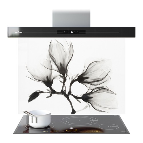 Kitchen glass splashback - kitchen,