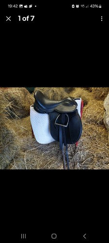 The saddle company - the,