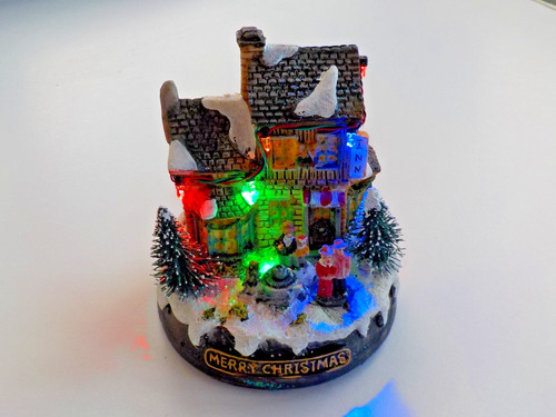 Lovely miniature merry - lovely, "merry