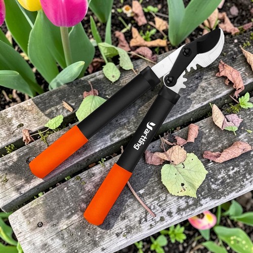 Bypass pruning loppers gear - bypass,