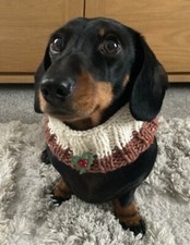Dachshund/Sausage Dog Knitted