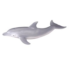 Collecta bottlenose dolphin - collecta,