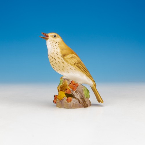 Royal worcester porcelain - royal,