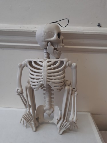9cm human life - 24", 60.9cm