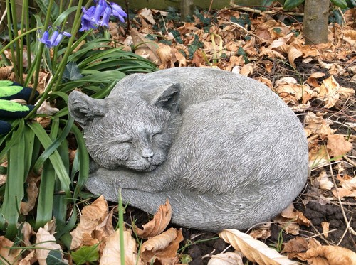 Stone garden curled - up, lying
