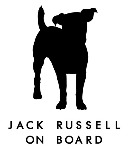 Jack russell dog board car - on,