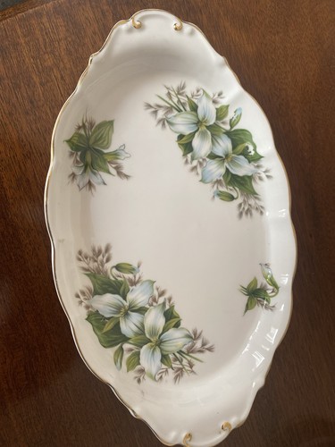 Royal albert trillium - trillium, oval