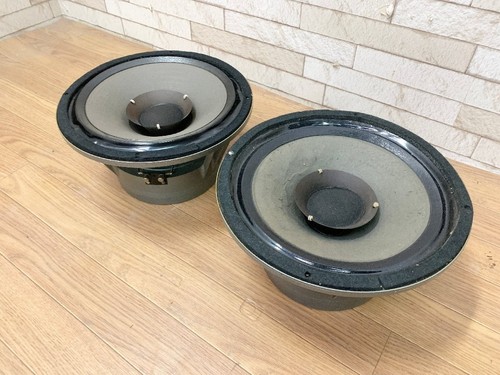 Goodmans axiom 301 inch - 301, 12-inch