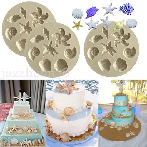Sea shells animals - sea,