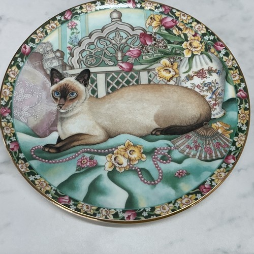 Vintage aynsley cat - vintage,