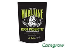 Wholesale doctor marijane - doctor,