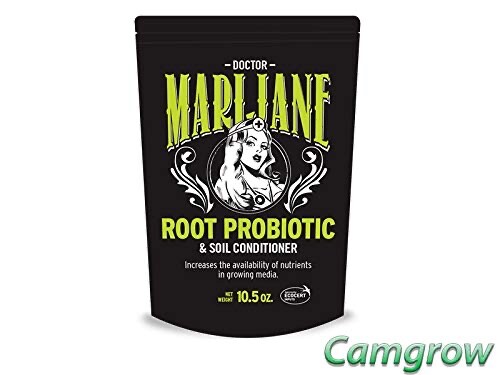 Wholesale doctor marijane - doctor,