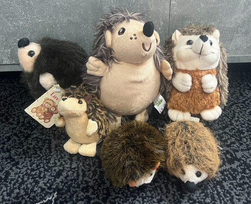 Bundle mixed hedgehog - bundle, of