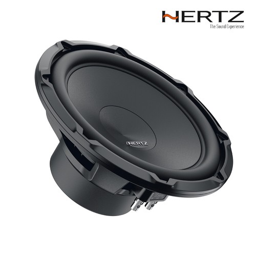 Hertz cento 250 10 - 250, 10"