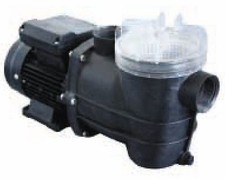 swimming pool / pond pump