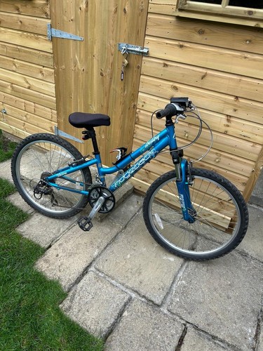 Ridgeback mountain bike for