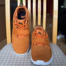 Nike SB Trainerendor Leather