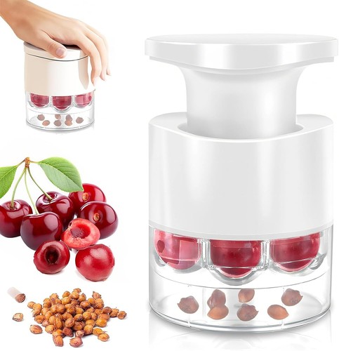 Pitter stone seed - stone, remover