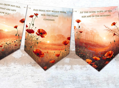 Remembrance day poppy - remembrance,