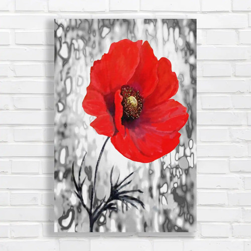Vibrant red poppy canvas - vibrant,