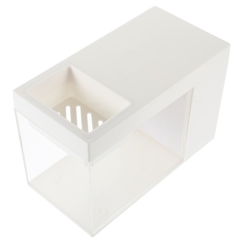 Acrylic betta fish tank - acrylic,