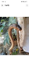 wooden cobra stick free tariff