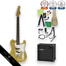Aria Pro II 615AE200 Electric Guitar 14 Piece Set with Yamaha Flame Maple Cente