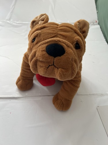 Dan dee shar pei - pei, dog