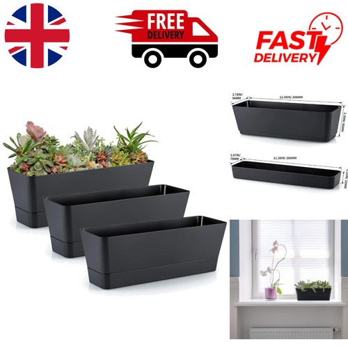 Modern piece succulent - modern, 3-piece