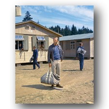 Steve McQueen Photo 8x10 The