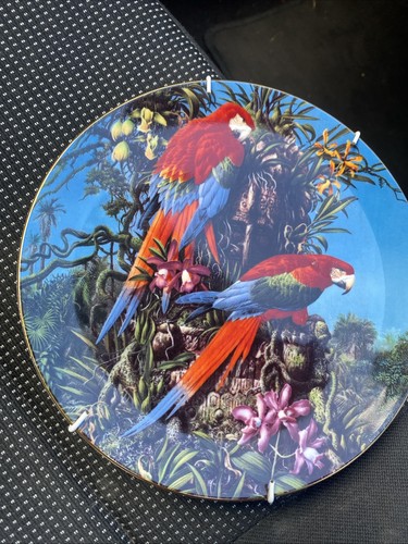 Wedgewood green wing macaws - wedgewood,