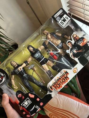 Wwe nwo federation - wwe,