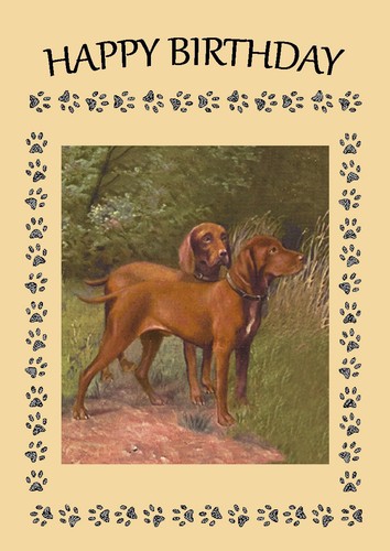 Hungarian vizsla dog birthday - hungarian,