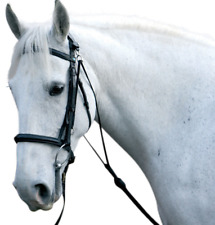 Hy Equestrian Chambon Long &