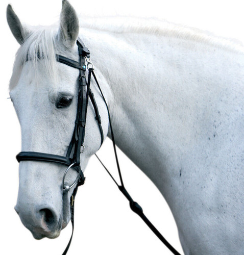 Equestrian chambon long - chambon,