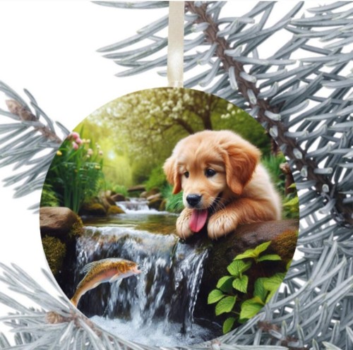 Golden retriever dog - golden,
