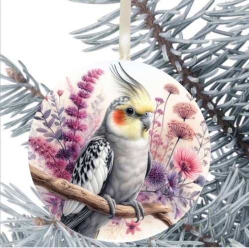 Cockatiel bird hanging - cockatiel,