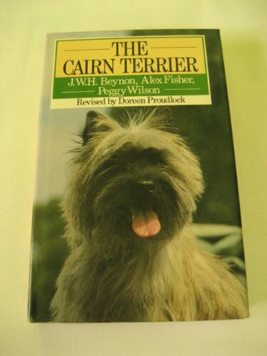 Cairn terrier popular dog - (popular,