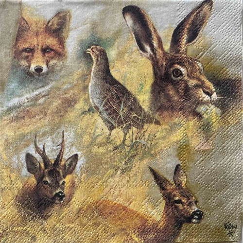Luncheon paper napkins for - paper,