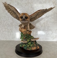 Border Fine Arts Tawny Owl In
