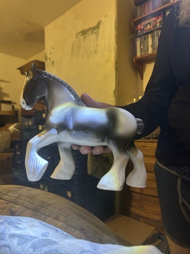 China grey shire horse - shire,