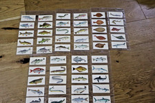 VINTAGE BLACK CAT CIGARETTE CARDS SPORT FISH FULL SET OF 50 CARDS