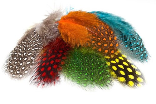 Troutline selected guinea fowl - troutline,
