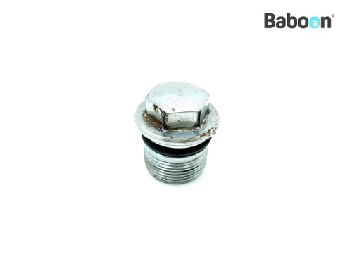 Front fork cap - gs, 750