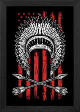 Native American Flag Framed