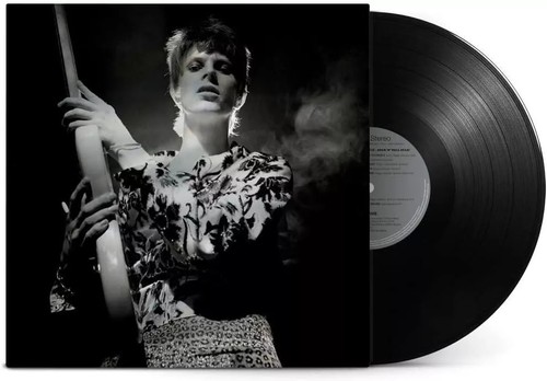 David bowie rock n - ,