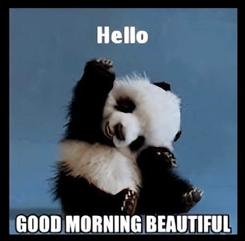 Hello good morning - hello,