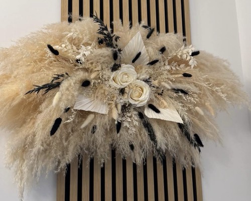 Dried flower pampas grass - flower, wall