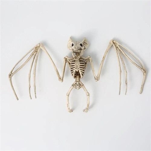 Seasonal halloween bat - seasonal,