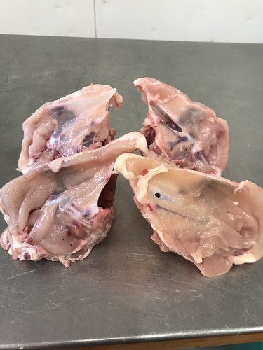 Raw chicken carcass - raw,